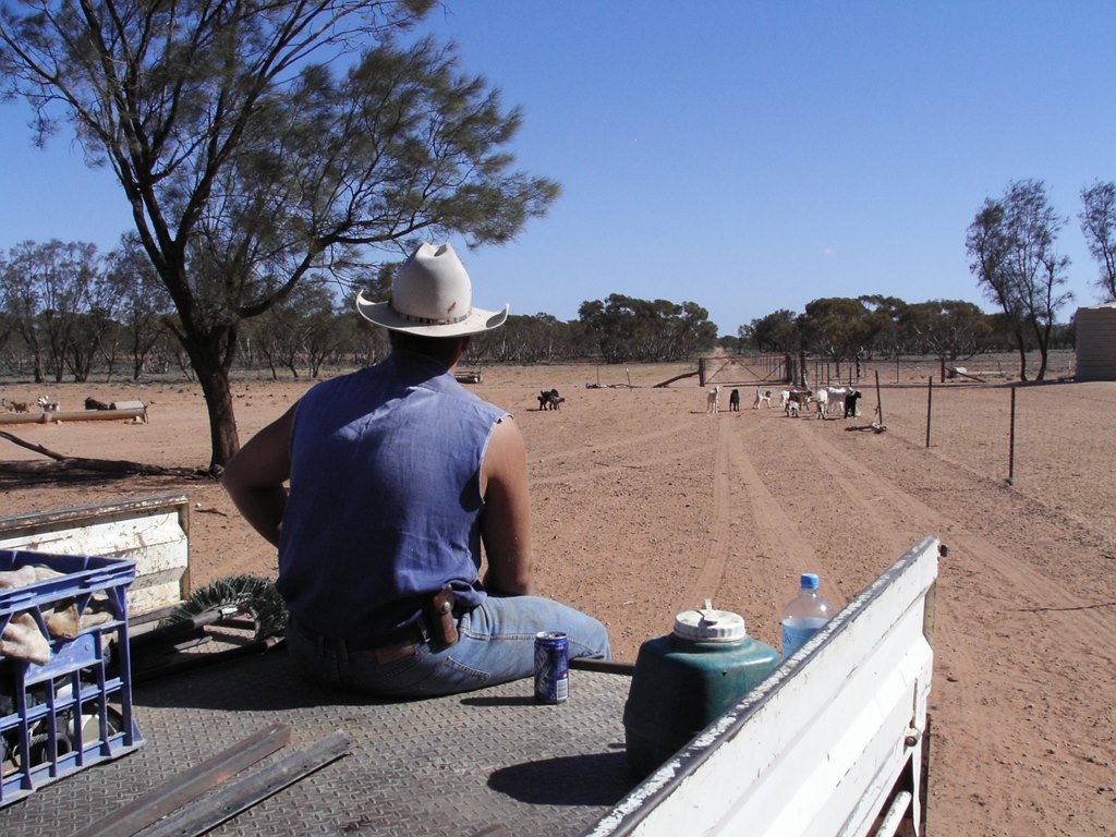 13bcowboy, Australia